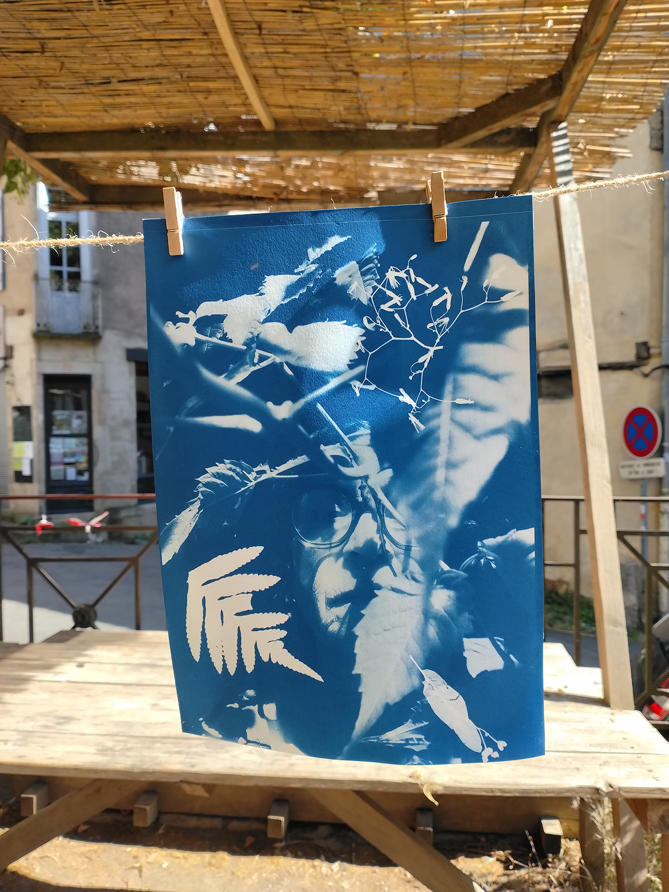 cyanotype