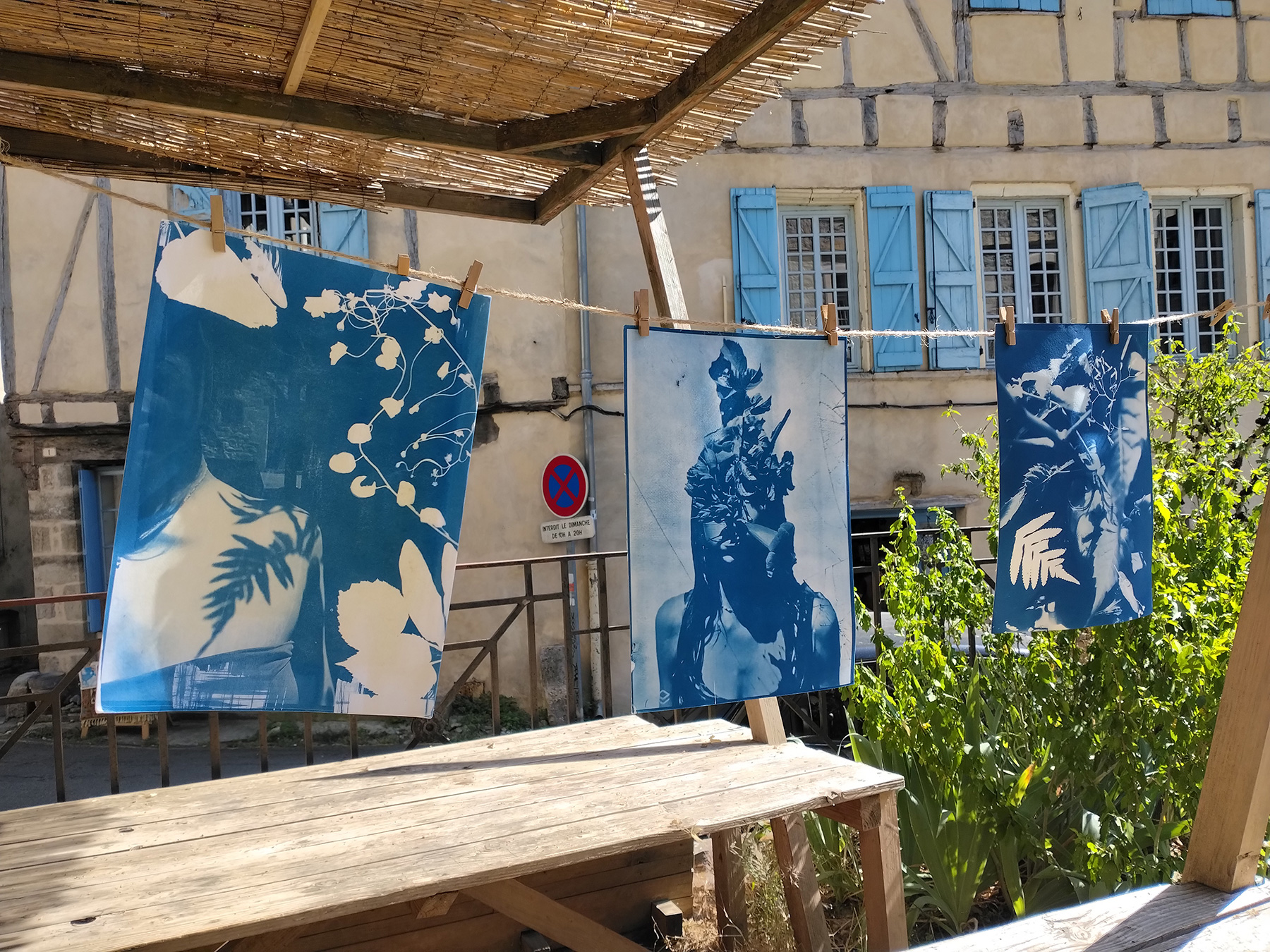 cyanotype